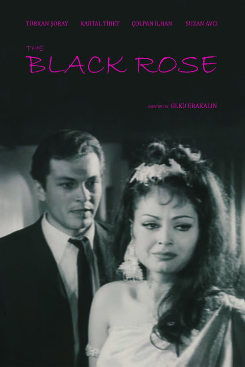 The Black Rose poster