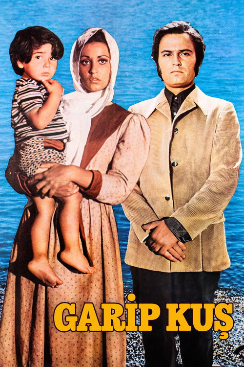 Teardrops poster