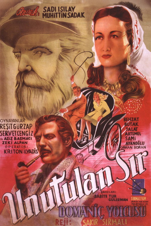 Domaniç Yolcusu / Unutulan Sır poster