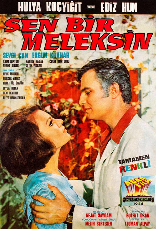 Sen bir meleksin poster