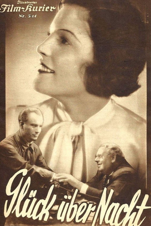 Overnight Sensation poster