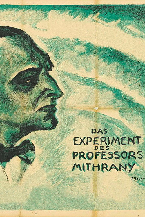 The Experiment of Professor Mithrany poster