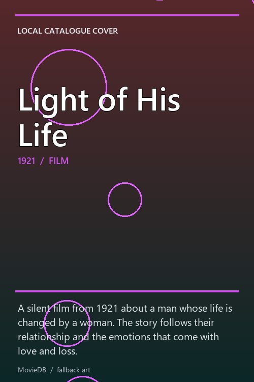 Light of His Life poster