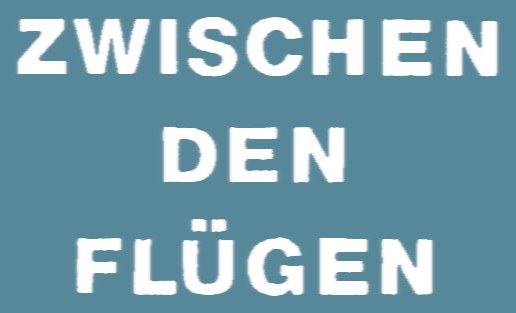 Zwischen den Flügen poster