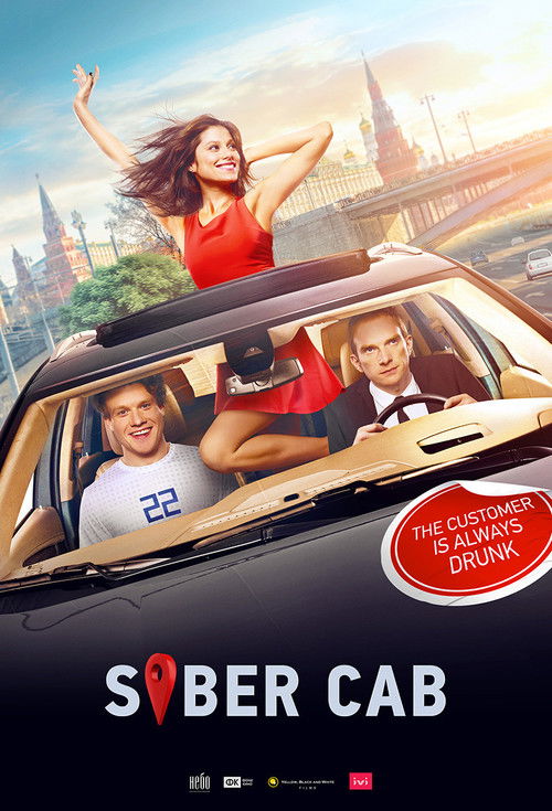 Sober Driver poster