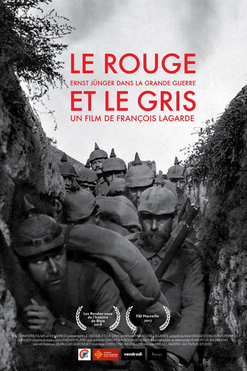 Le rouge et le gris, Ernst Jünger dans la grande guerre poster