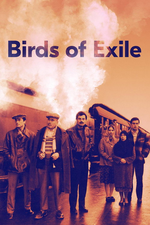 Gurbet Kuşları poster