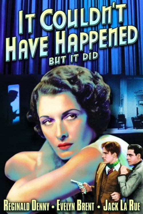 It Couldn't Have Happened – But It Did poster