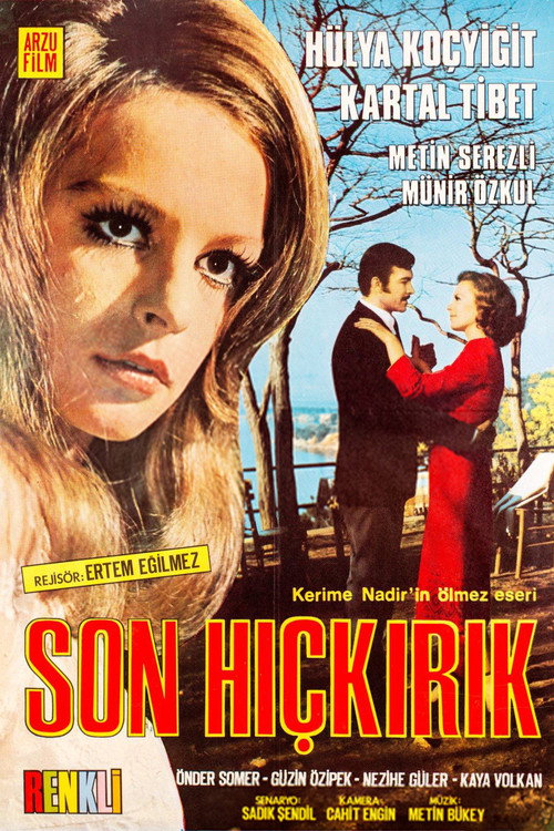 Son hiçkirik poster