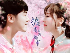 护花高手在都市 poster