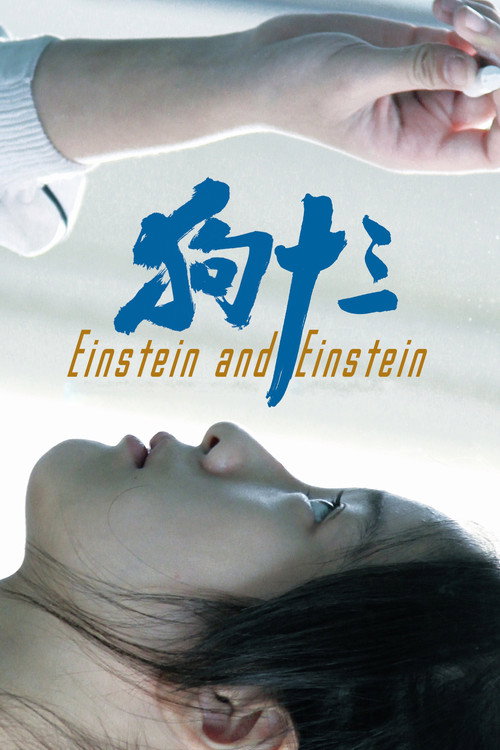 Einstein & Einstein poster