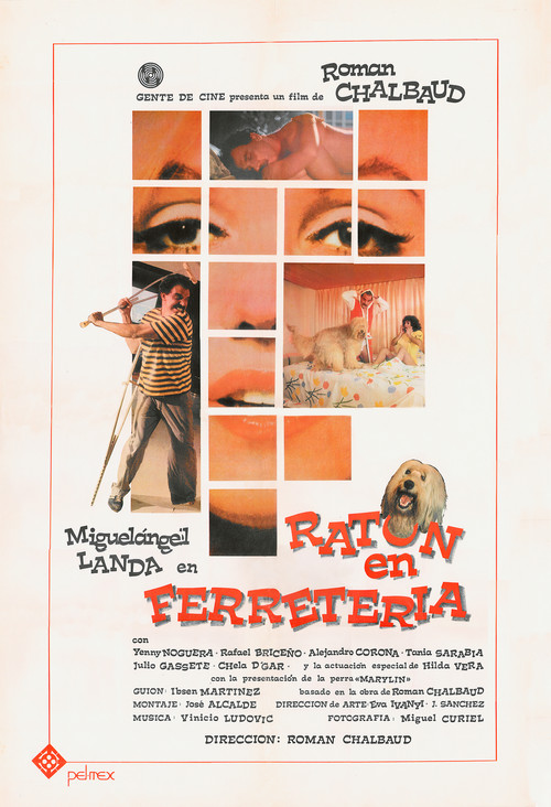 Ratón de ferretería poster