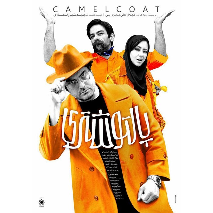 پالتو شتری poster