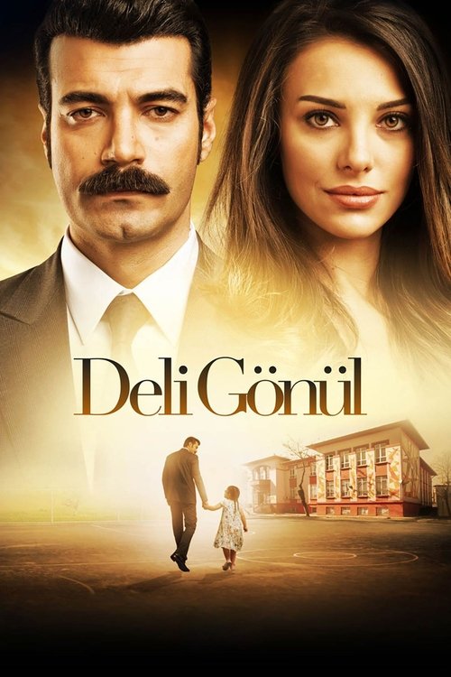 Deli gönül poster