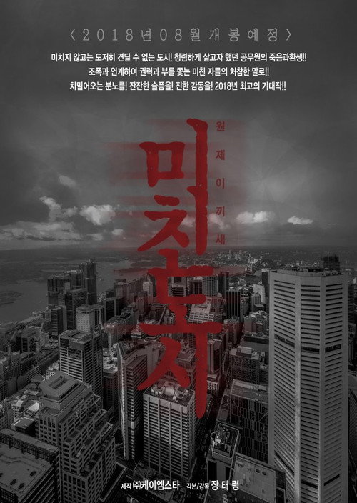 Crazy City poster