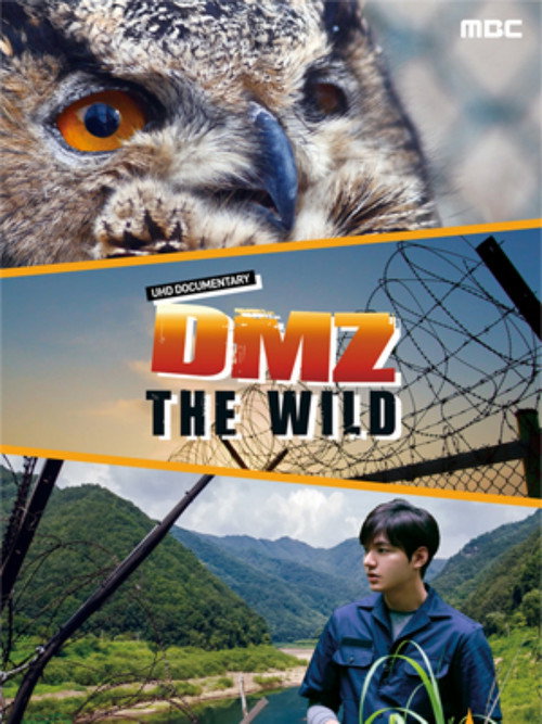 The DMZ poster