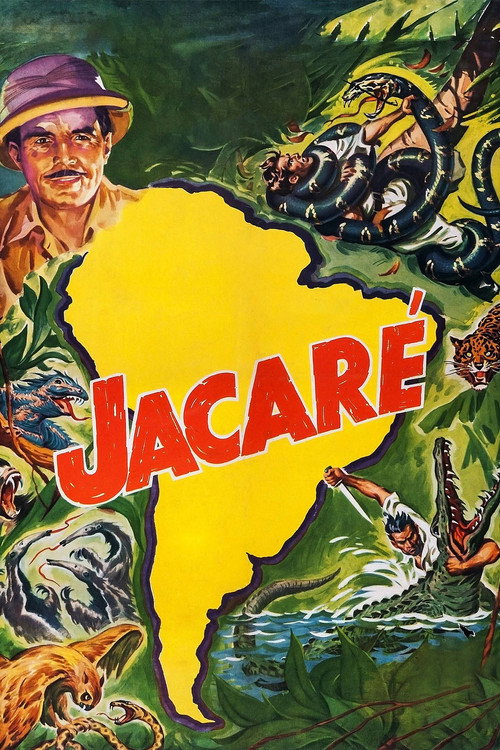 Jacare poster