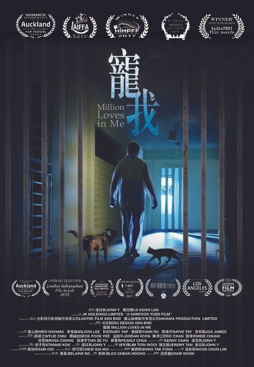 Million Loves In Me poster