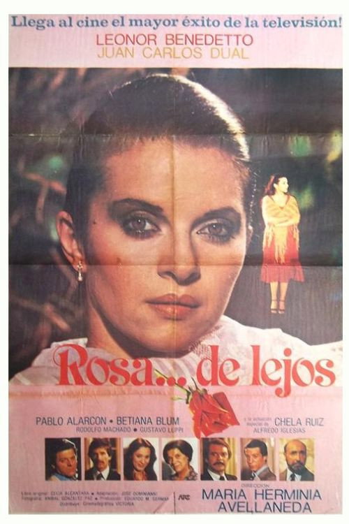 Rosa... de lejos poster