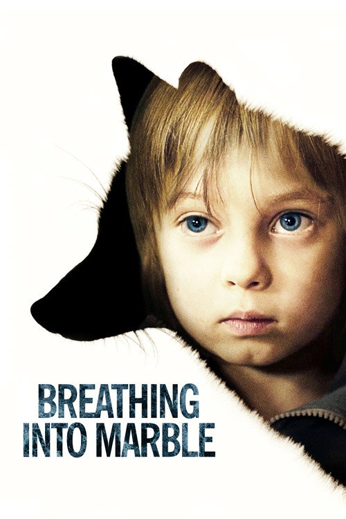 Breathing into Marble poster