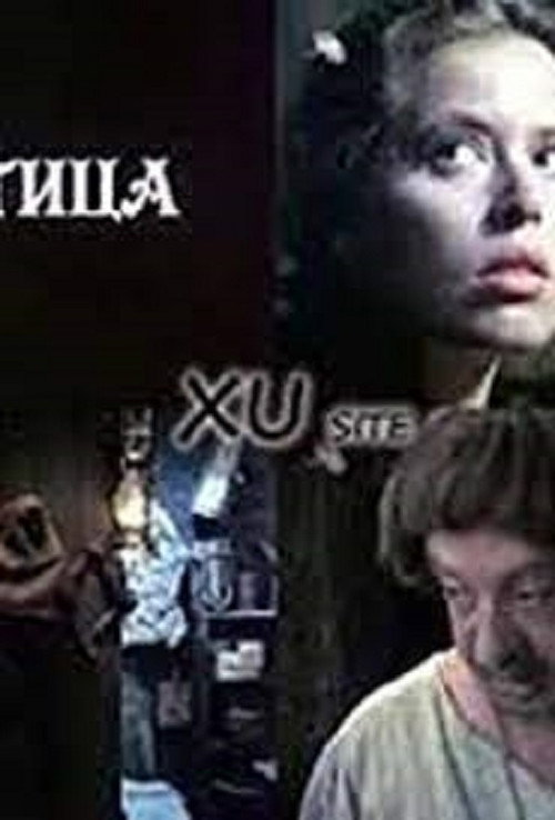 The Witch poster