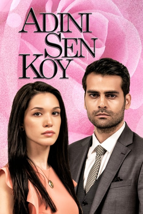 Adini sen koy poster
