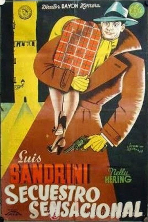 Sensational Kidnapping poster