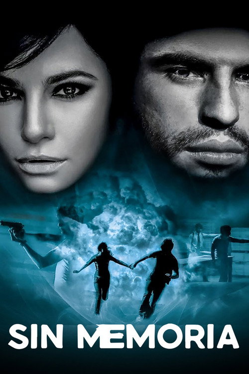 Sin memoria poster