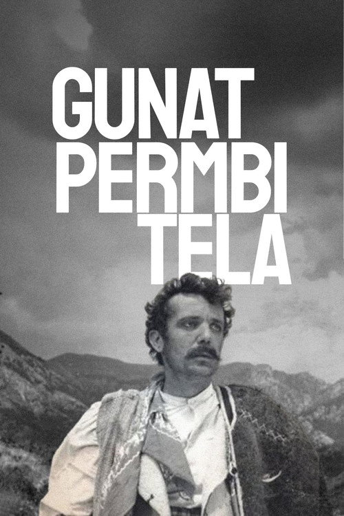Gunat permbi tela poster