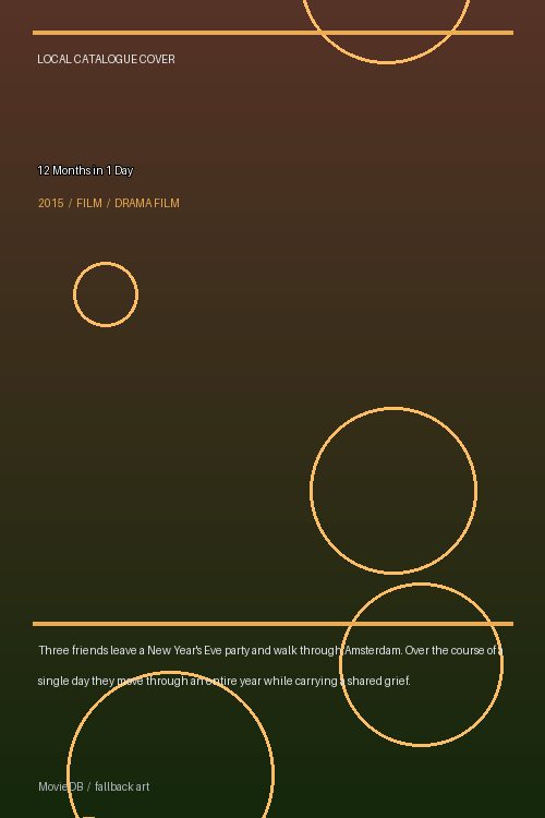 12 Months in 1 Day poster