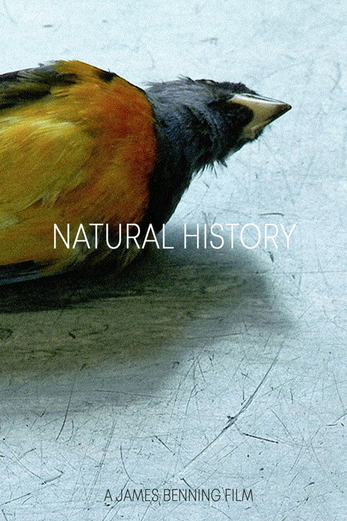natural history poster