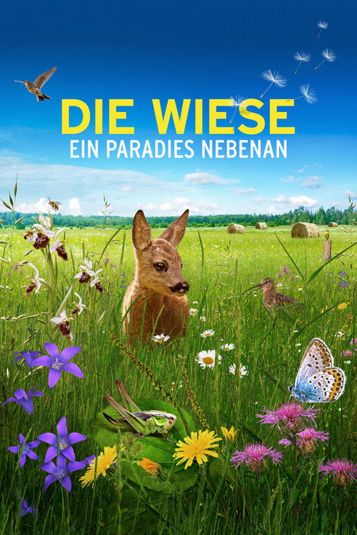 Die Wiese poster