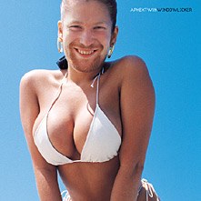 Windowlicker poster