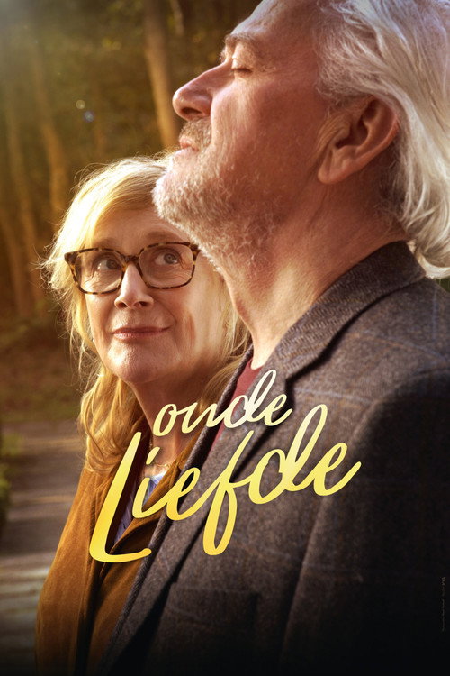 Love Revisited poster