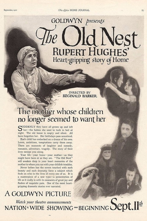 The Old Nest poster