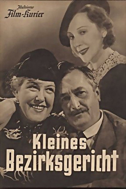 Little County Court poster