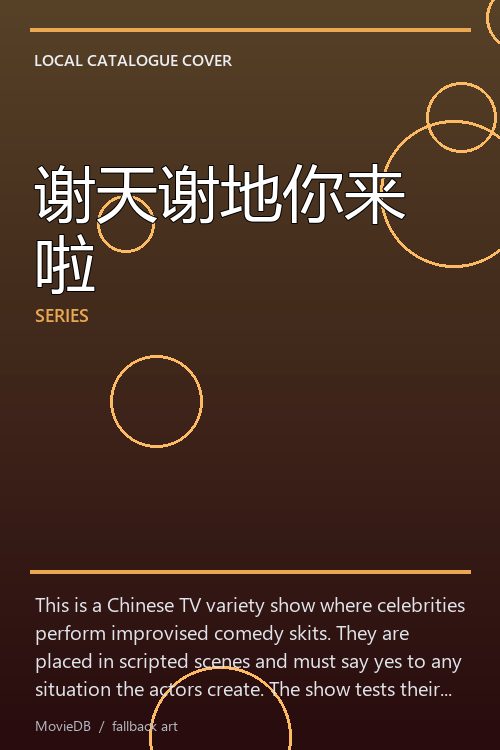 谢天谢地你来啦 poster
