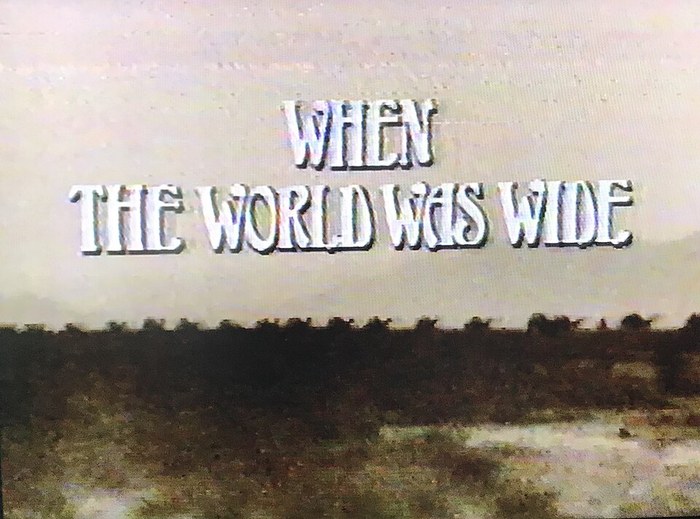 When the World was Wide poster