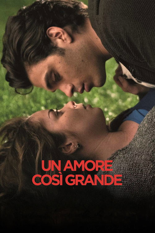 Such a Great Love poster