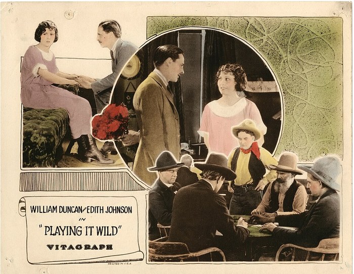 Playing It Wild poster