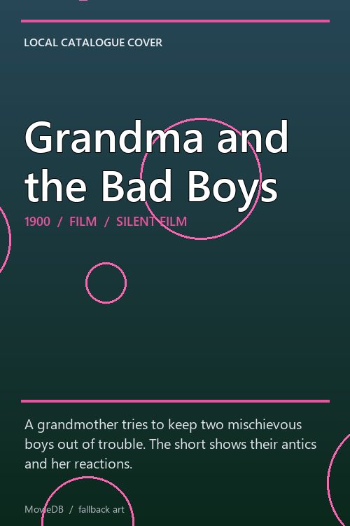 Grandma and the Bad Boys poster