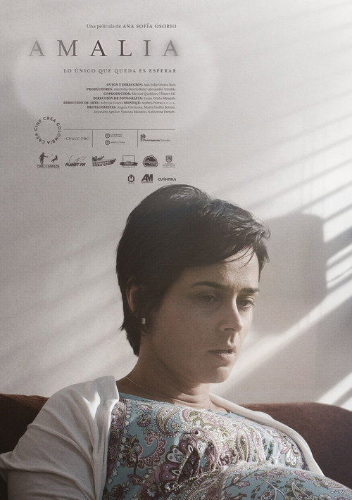 Amalia poster
