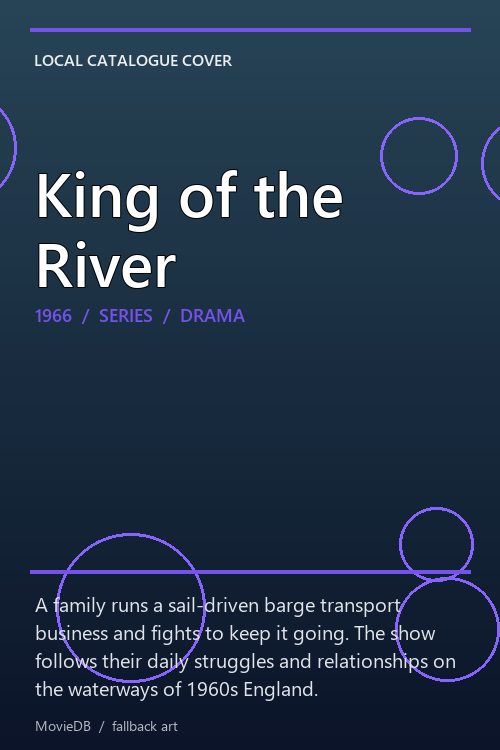 King of the River poster