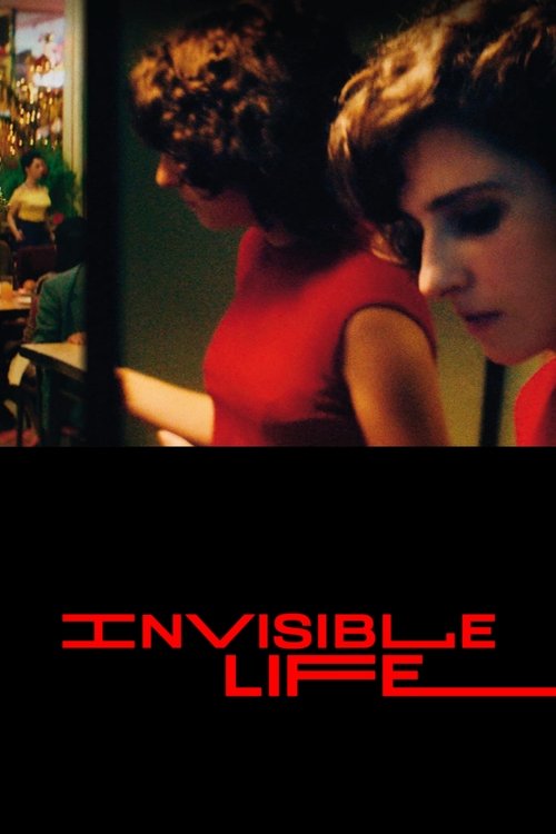 The Invisible Life poster