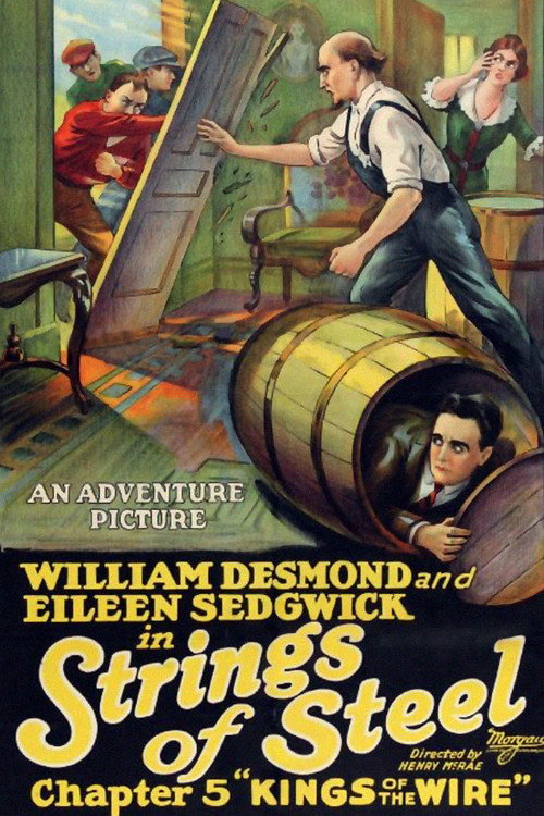 Strings of Steel poster
