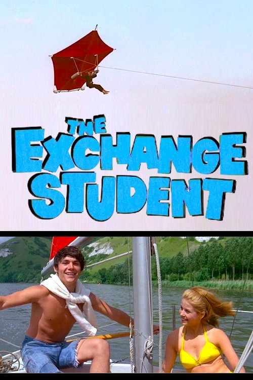 Les grandes vacances poster