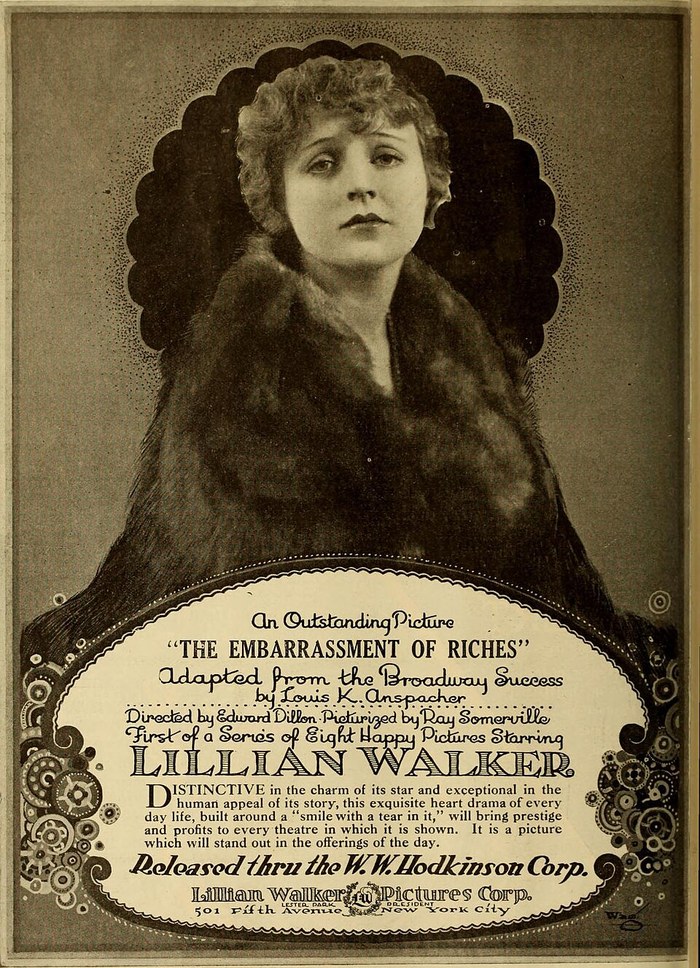 The Embarrassment of Riches poster