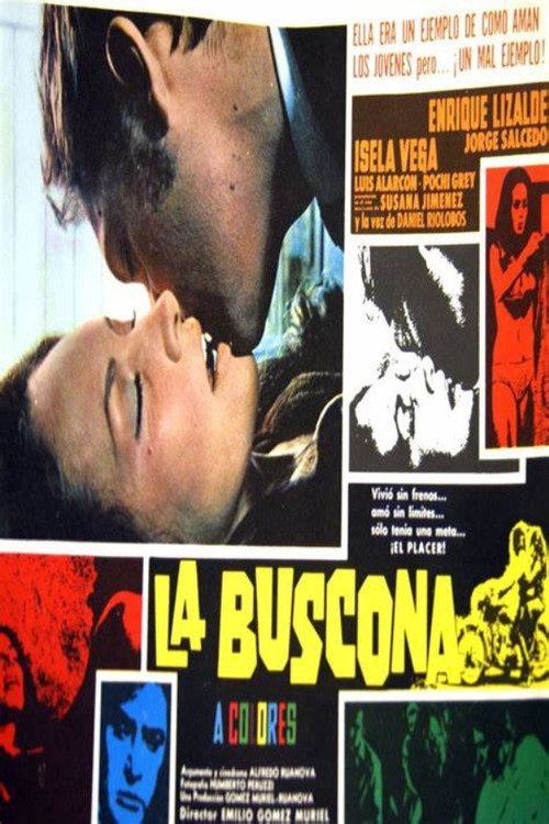 La Buscona poster