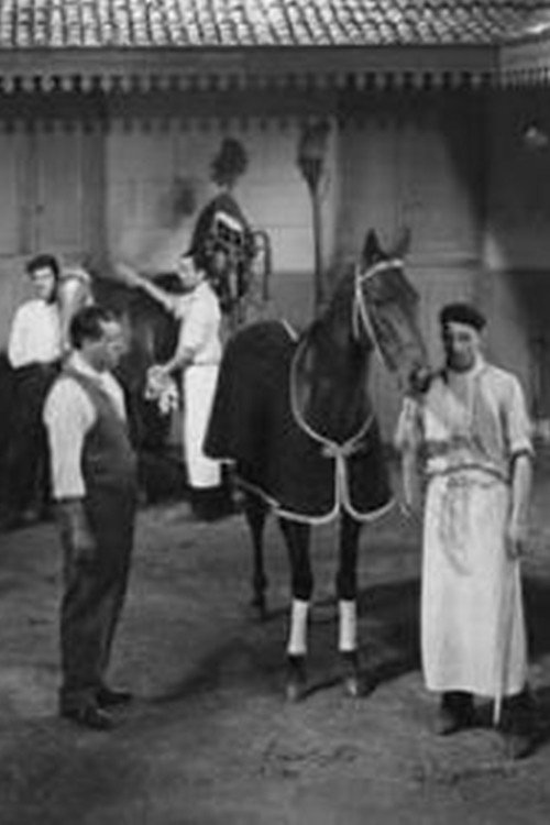 La Mujer y el jockey poster