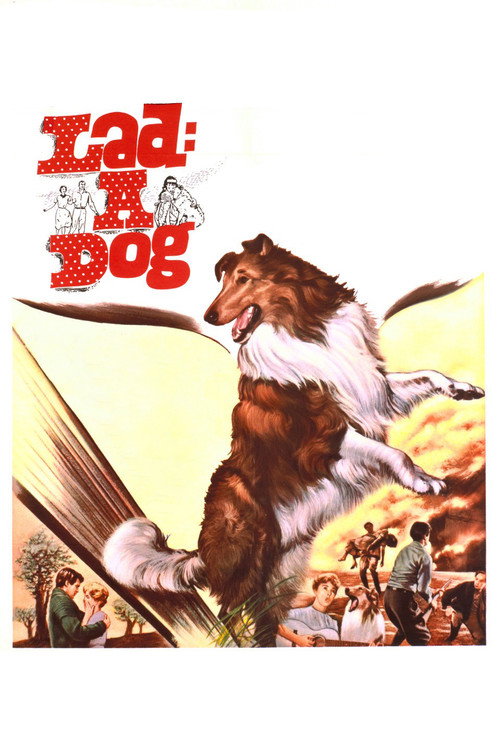 Lad, A Dog poster